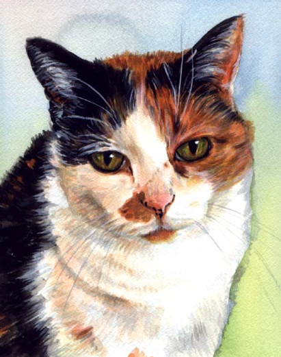 Calico Cat Watercolor Carol Wells