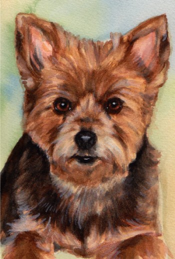 Yorkie Dog Watercolor Carol Wells