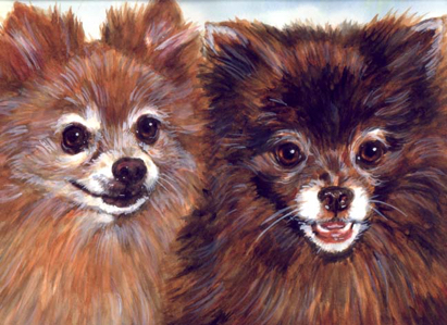 Pomeranian Dogs Watercolor Portrait Carol Wells