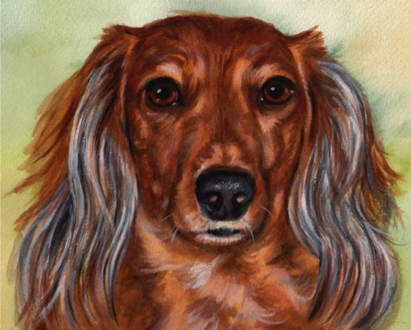 Longhaired Dachshund Dog Watercolor Carol Wells