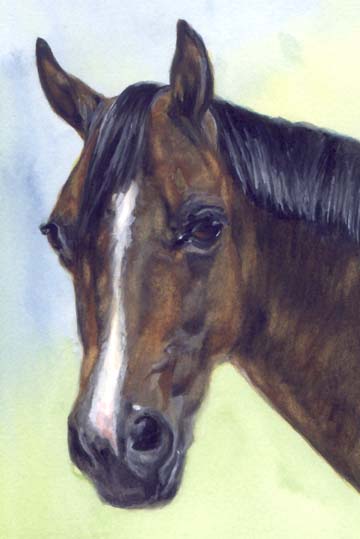 Bay Horse Watercolor Carol Wells