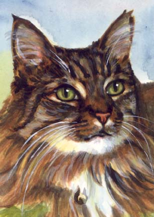 Longhaired Tabby Cat Watercolor Carol Wells