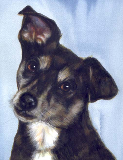 Dog Watercolor Carol Wells