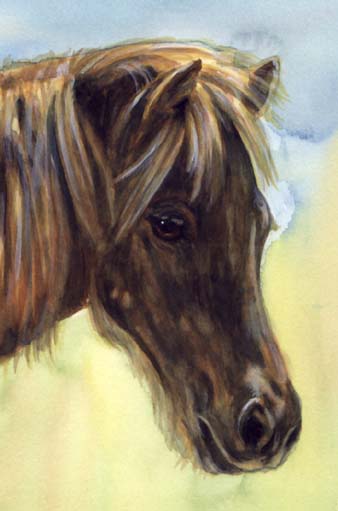 Pony Art Watercolor Carol Wells