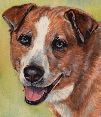 Blue Eyes Dog Watercolor Carol Wells