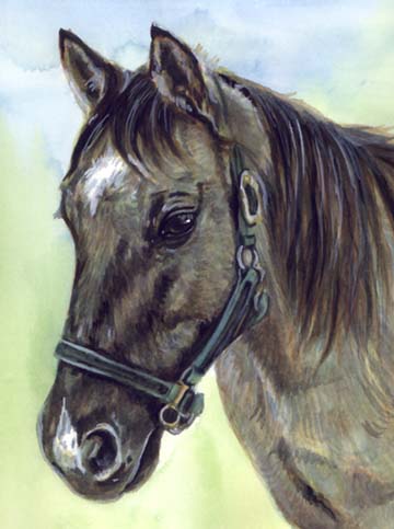 Gray Horse Watercolor Carol Wells