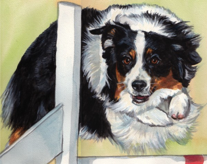 Agility Dog Watercolor Portrait Carol Wells