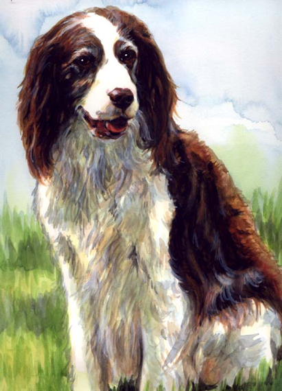 Spaniel Dog Watercolor Pet Portrait Carol Wells
