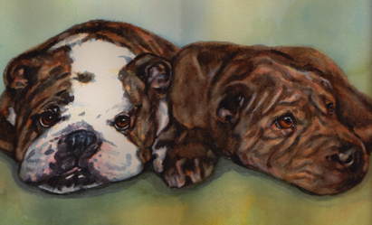 Bulldog Sharpei Dogs Watercolor Carol Wells