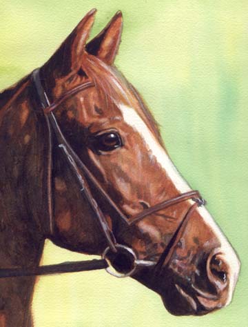 Bay Horse Watercolor Carol Wells