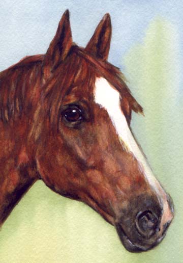 Horse Art Carol Wells