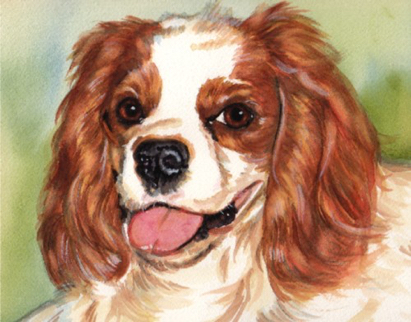 Cavalier King Charles Spaniel Dog Watercolor Carol Wells