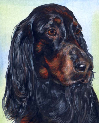 Spaniel Dog Watercolor Portrait Carol Wells