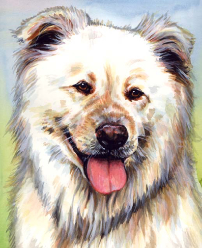 Dog Portrait Watercolor Portrait Carol Wells