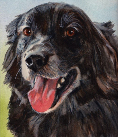 Black Dog Watercolor Carol Wells