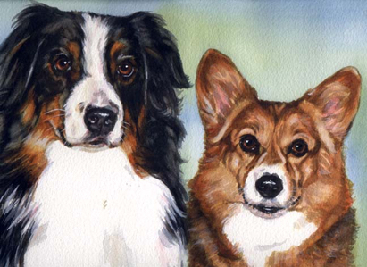Australian Shepherd Corgi Dogs Watercolor Carol Wells