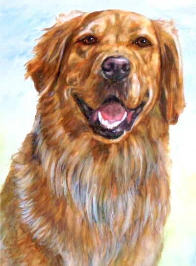 Golden Retriever Dog Watercolor Carol Wells