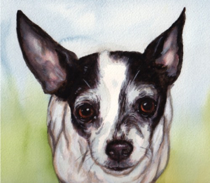 Chihuahua Dog Watercolor Portrait Carol Wells