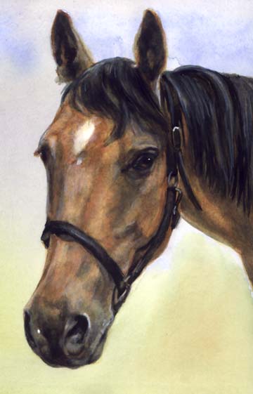 Horse Painting Wells