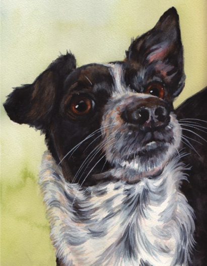 Dog Watercolor Pet Portrait Carol Wells