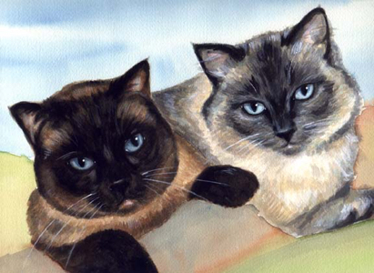 Cat Blue Eyes Siamese Watercolor Carol Wells