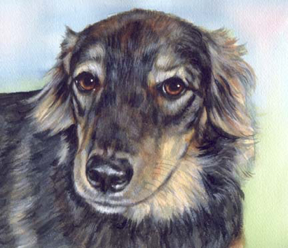 Dog Portrait Watercolor Pet Portrait Carol Wells