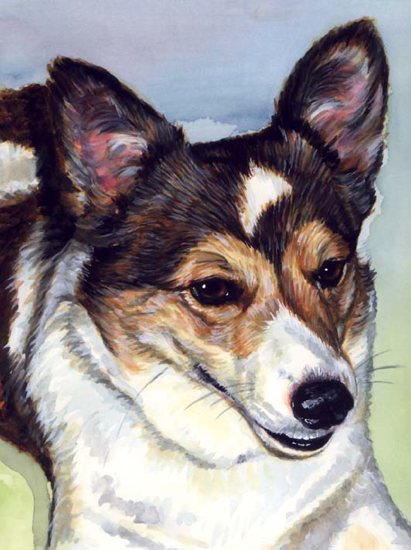 Dog Watercolor Painting Carol Wells