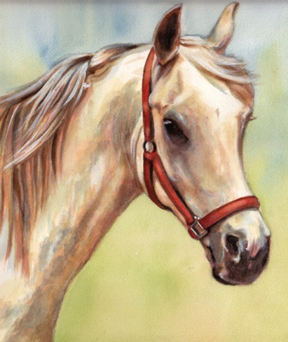 Gray Horse Equine Art Carol Wells