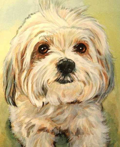 Cute Dog Watercolor Carol Wells