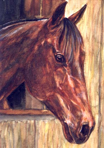 Bay Horse Art Carol Wells