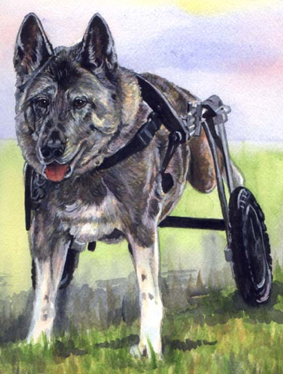 Terrier Dog Watercolor Carol Wells