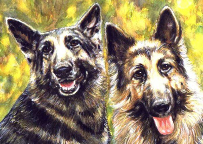 German Shepherd Dogs Watercolor Pet Portrait Carol Wells