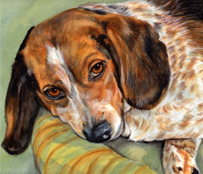 Beagle Dog Watercolor Carol Wells