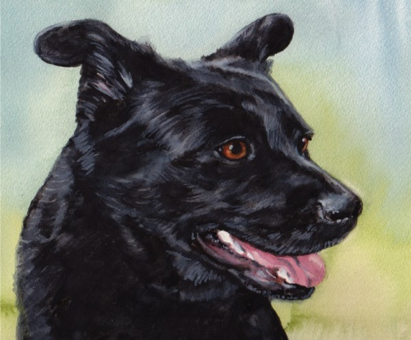 Black Dog Watercolor Carol Wells