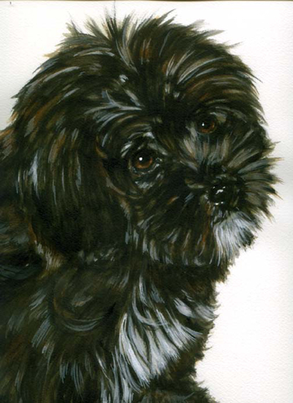 Puppy Watercolor Portrait Carol Wells