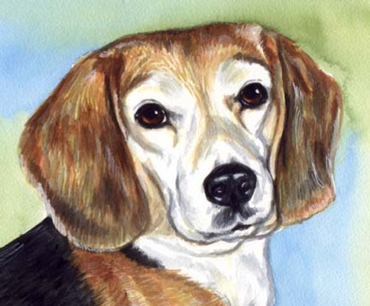 Beagle Dog Watercolor Pet Portrait Carol Wells