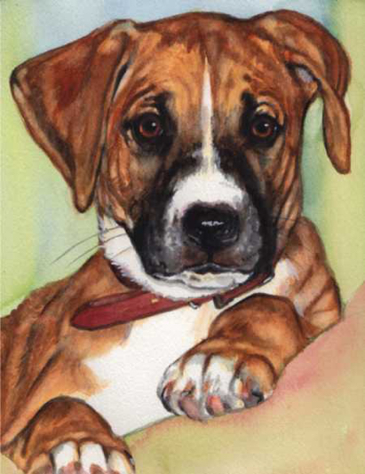 Puppy Boxer Mix Dog Watercolor Carol Wells