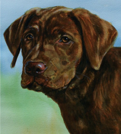 Chocolate Lab Dog Watercolor Portrait Carol Wells