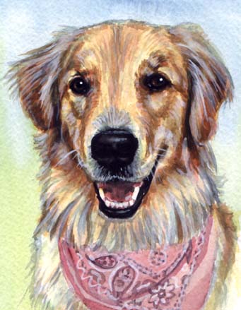 Golden Retriever Bandana Dog Watercolor Carol Wells