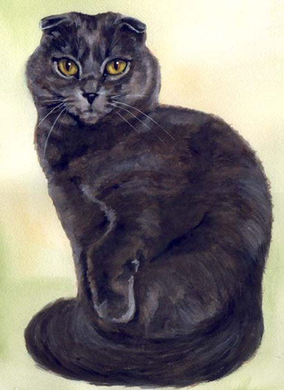 Scottish Fold Cat Watercolor Carol Wells