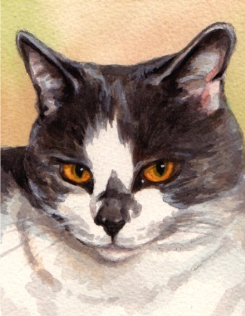 Orange Eyes Cat Watercolor Carol Wells