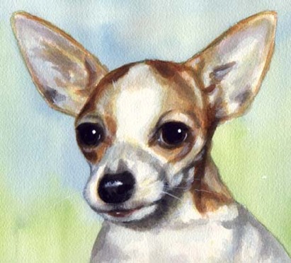 Chihuahua Dog Watercolor Pet Portrait Carol Wells