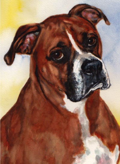 Boxer Dog Watercolor Carol Wells