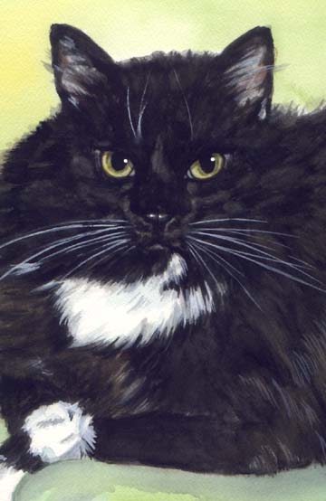 Long-haired Black Cat Watercolor Carol Wells