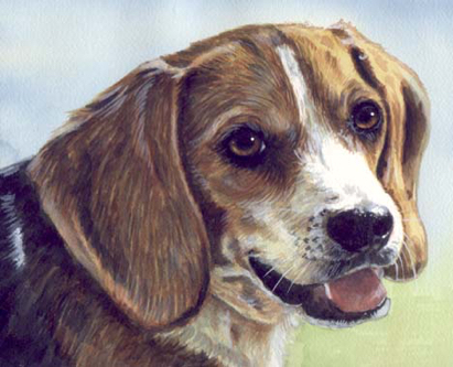 Beagle Watercolor Pet Portrait Carol Wells
