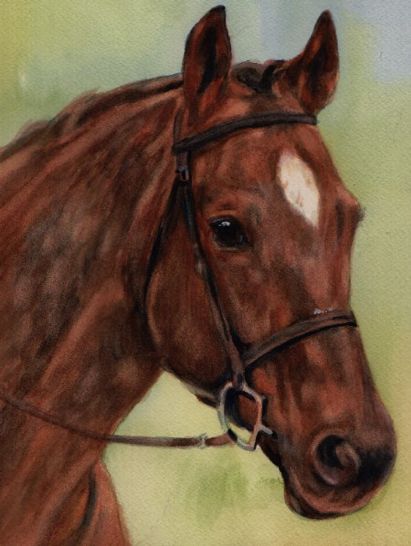 Horse Watercolor Carol Wells