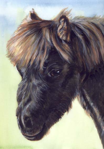 Pony Watercolor Carol Wells