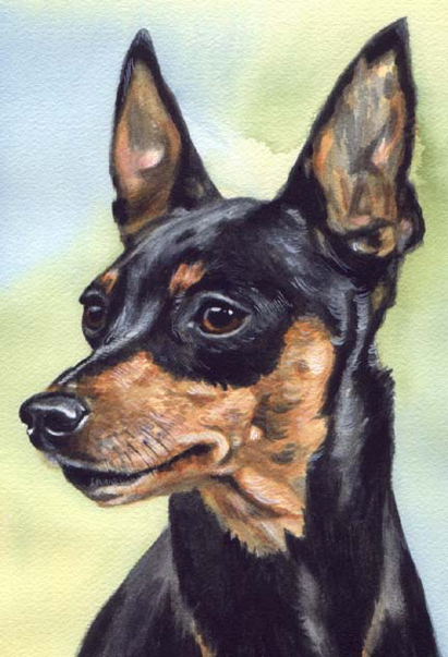 Min Pin Miniature Pinscher Dog Watercolor Pet Portrait Carol Wells