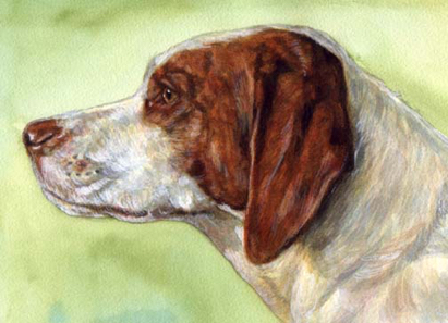 Hunting Bird Retriever Dog Watercolor Pet Portrait Carol Wells