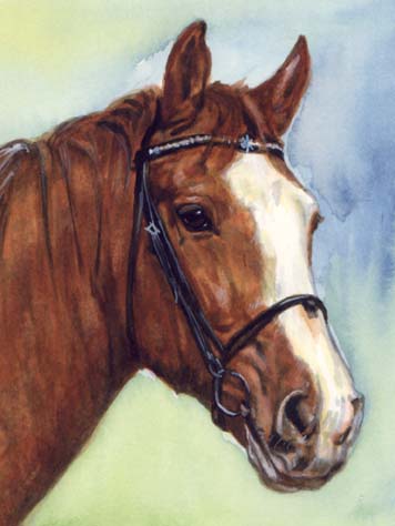 Bay Horse Art Watercolor Carol Wells